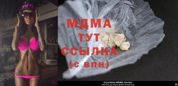 хмурый Алексин