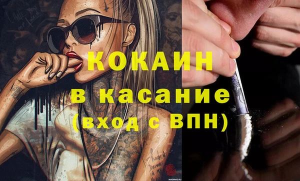 хмурый Алексин