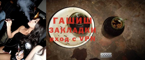 хмурый Алексин